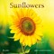 Plato; Sunflowers | 2027 7 x 14 Inch (Hanging) Monthly Mini Wall Calendar | Foil Stamped Cover; Category:Wall Calendars; Image:2